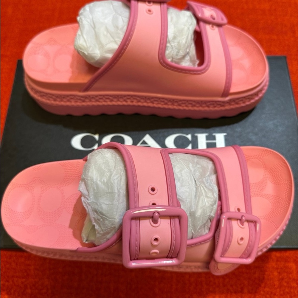 ❤️❤️❤️NWT  Coach Lainey Sandal CR875 size 5B
 
❤️❤️❤️ - Picture 2 of 12